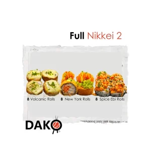 Full Nikkei 2